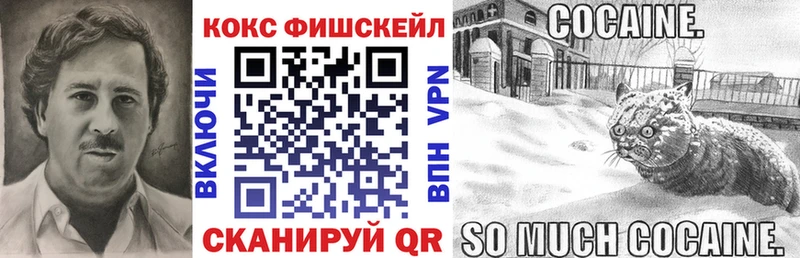 мориарти состав  OMG как войти  Дудинка  COCAIN Боливия 