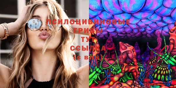мдма Горняк